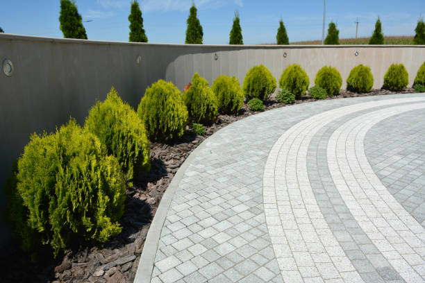 Professional Driveway Pavers in Mccrory, AR